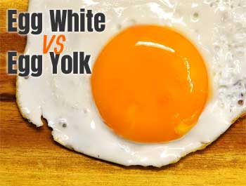 Health Benefits: Egg Whites VS Egg Yolks