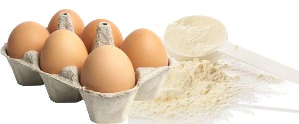 Fresh Eggs VS Egg Powder for Cooking and Baking - and is There a Nutritional Difference?