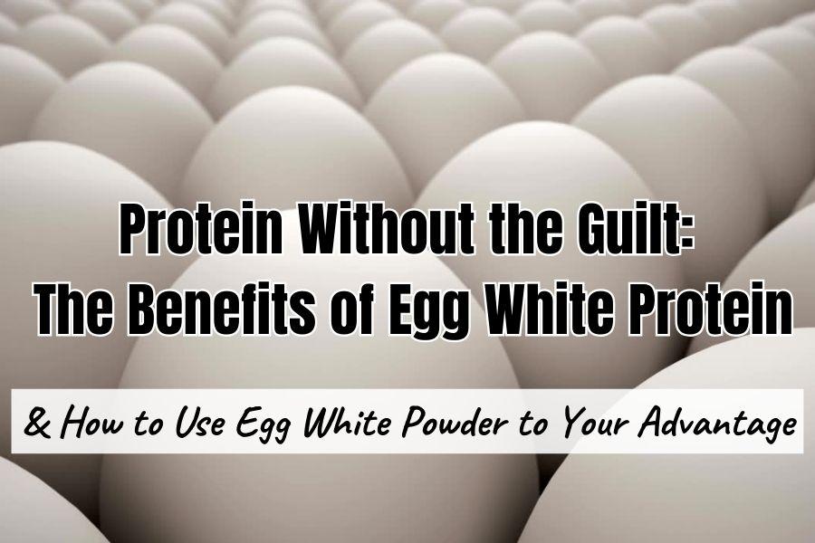 The Benefits of Egg White Protein and How to Use Egghite Powder to Your Advantage